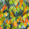 Tupelo Tapestry - Glowing Leaves